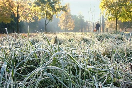 Первые осенние заморозки прогнозируются в ночные часы на этой неделе