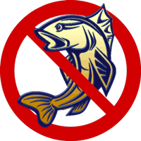 Запрет на лов рыбы в южных регионах Беларуси начнет действовать с 20 марта
