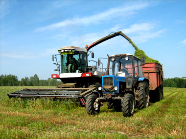 Хозяйства Гомельской области перевыполнили план по заготовке травянистых кормов