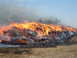 В Добрушском районе огнем уничтожено 15 тонн соломы