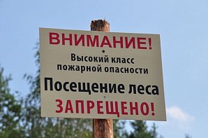 Запрет на посещение лесов введён в Калинковичском районе