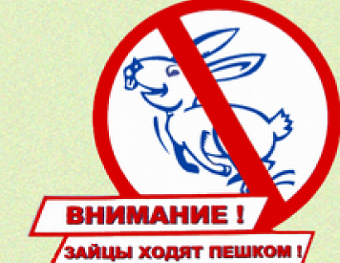 БелЖД проведет акцию «Стоп — заяц!»