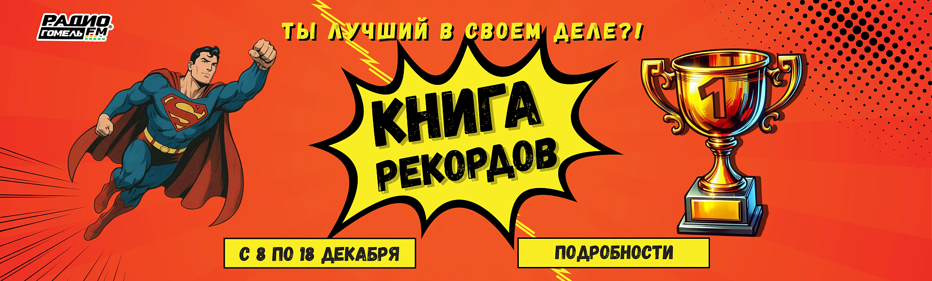 Слайд 8 (Книга рекордов Гомель FM)