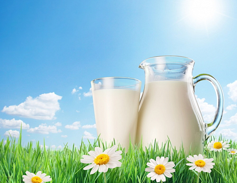 Темпы роста производства молока в Гомельской области достигли 112%, продаж — 115%