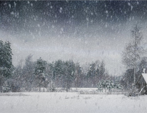 Из-за снегопадов, которые вчера обрушились на Гомельскую область, без электроснабжения остался 21 населенный пункт