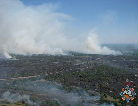 В Хойникском районе продолжают тушить крупный лесной пожар