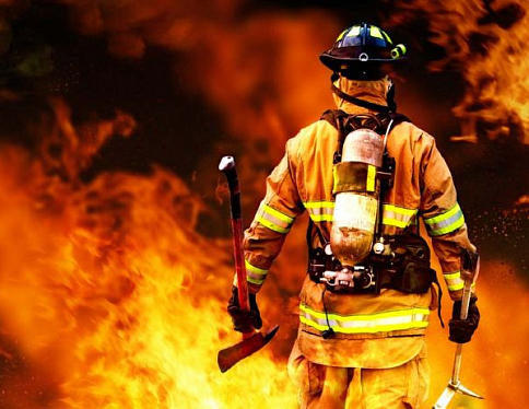 7 пожаров в природных экосистемах локализовали гомельские спасатели за прошедшие сутки