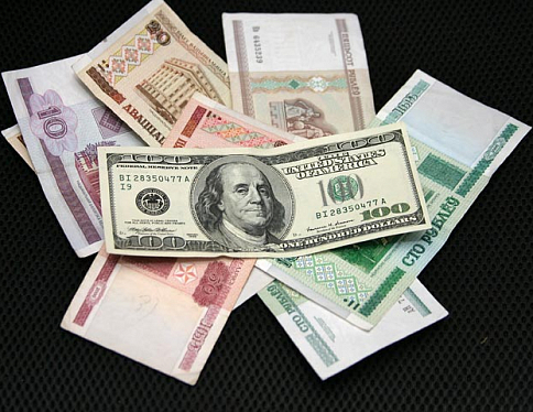 С начала года в Гомельской области милиционеры пресекли 33 факта незаконных валютно-обменных операций