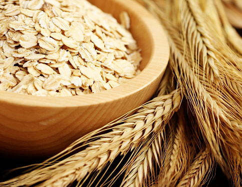 Общий намолот зерна в Гомельской области с учётом кукурузы превысил 1 млн. тонн