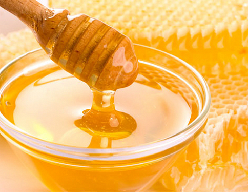 Новое производство мёда появится в Гомельской области