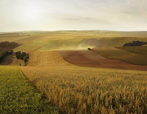Хозяйства Гомельской области превзошли прошлогодний показатель валового намолота зерна колосовых культур