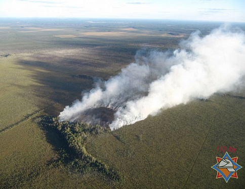Крупный пожар в Припятском заповеднике ликвидирован