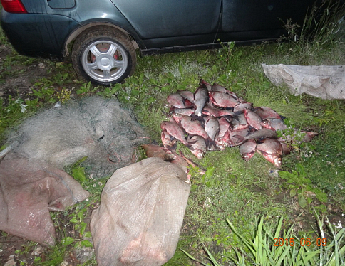 В Петриковском и Жлобинском районах попались браконьеры с сетями