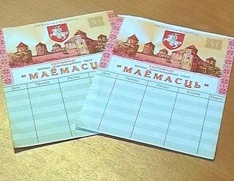 18 организаций Гомельской области предлагают гражданам поменять чеки «Имущество» на акции