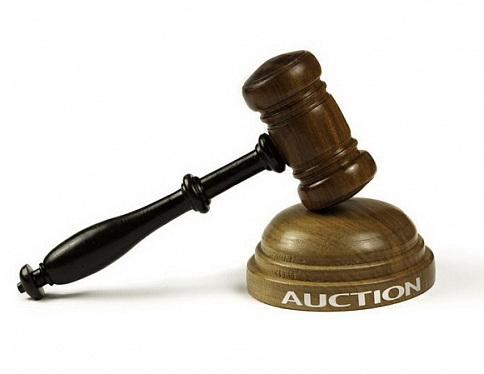 В Гомельской области за первое полугодие на аукционах продано 42 неиспользуемых объекта недвижимости