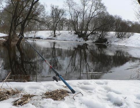 В Жлобинском районе рыбак обнаружил тело пропавшего в январе жителя Речицы