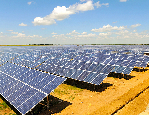 Солнечный парк в Брагинском районе признан одним из лучших энергопроектов Беларуси