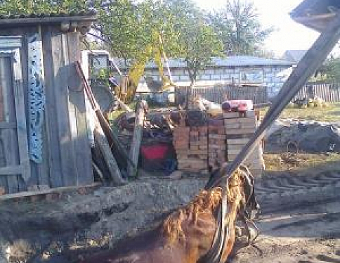 В Лельчицком районе сотрудники МЧС спасли лошадь