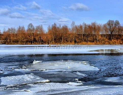 На некоторых реках Гомельской области, в связи с установившейся теплой погодой, начался рост уровня воды