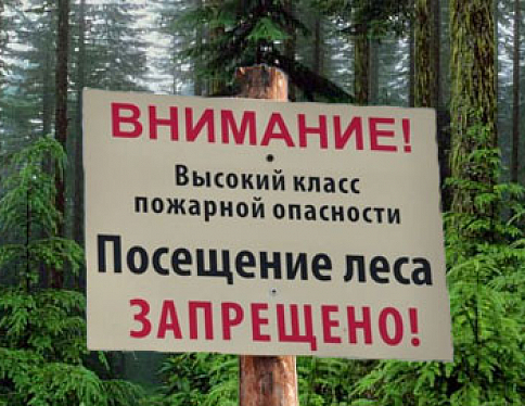 В лесах во всех областях введен запрет на посещение