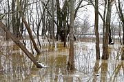 В Гомельской области талые воды подтопили подворья и участки дорог.