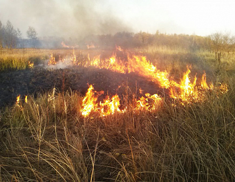 Пожароопасный период в Гомельской области достиг пика