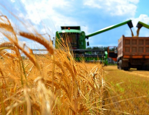 Хозяйства Гомельской области полностью завершат уборку зерновых колосовых культур до 10 августа