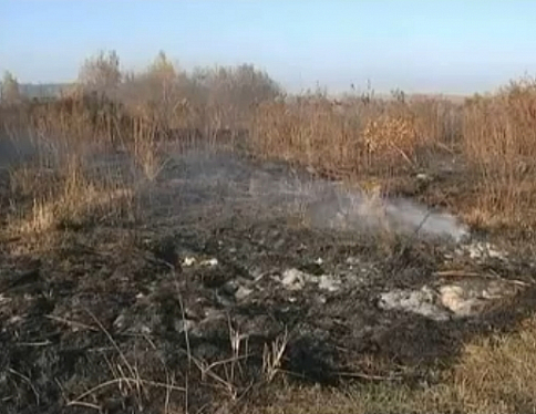 Более ста гектаров повреждено огнем в нашей области в результате возгораний травы и торфяников