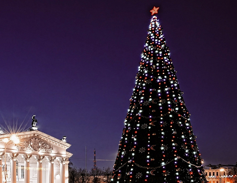 В Гомеле на площади Ленина начался монтаж новогодней елки