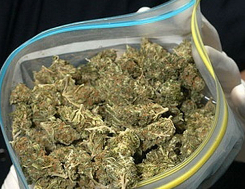 Милиционеры обнаружили на даче гомельчанина 1,5 кг марихуаны