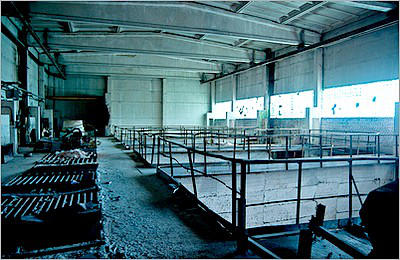 В Гомеле 3 мая будут выставлены на электронный аукцион здания и сооружения бывшего завода химического мела