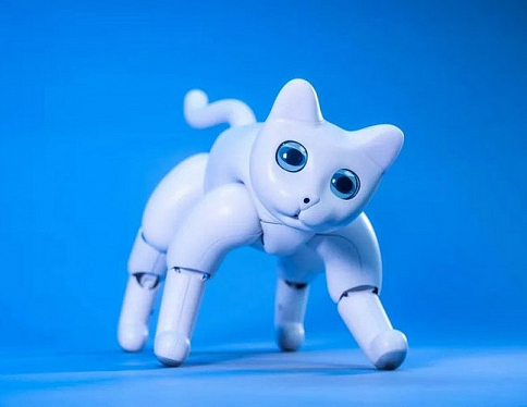 Китае создали кота-робота, которого можно дрессировать