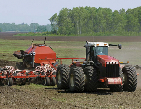 В Гомельской области площадь посевов озимых зерновых будет увеличена почти вдвое к заданию