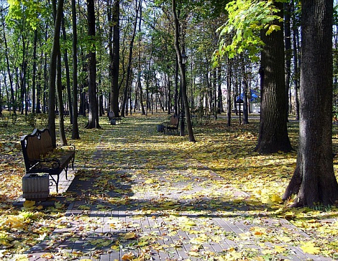 16 октября стартует очередная ежегодная акция по уборке листвы в гомельском парке