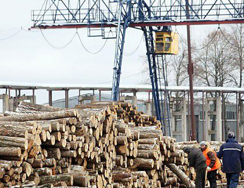 Деревообрабатывающий холдинг создадут в Беларуси