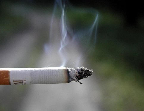 В Беларуси курит почти 30% населения