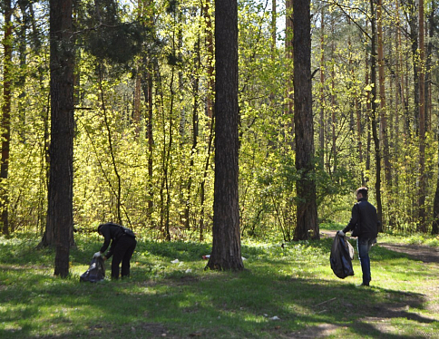 Акция "Чистый лес" пройдёт в Беларуси 19 октября