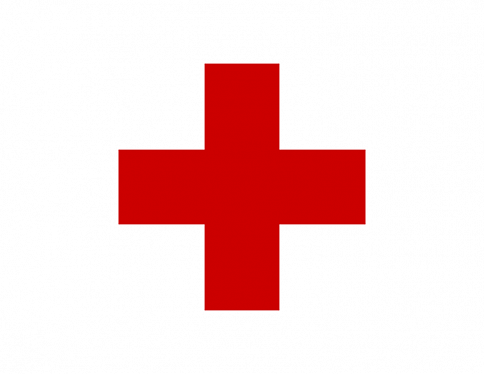 Областная организация Красного Креста поздравит одиноких матерей