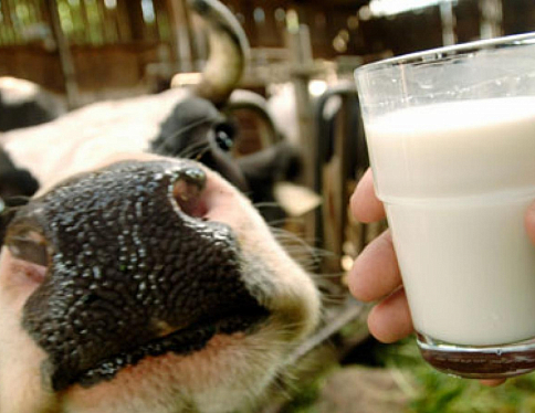 Первая пробная партия мясо-молочной продукции гомельских предприятий отправится в Китай в ближайшее время