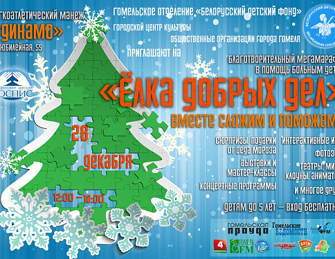 26 декабря в Гомеле пройдет благотворительный мегамарафон в помощь больным детям «Ёлка добрых дел»