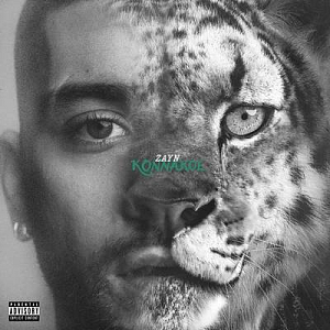 ZAYN